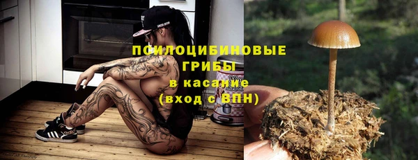 спиды Майский