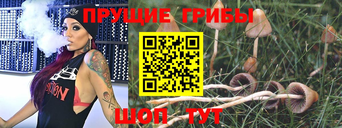 Галлюциногенные грибы GOLDEN TEACHER  Вход с VPN  закладки  Псилоцибиновые грибы ЛСД  Темрюк 